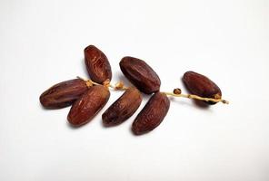 Dried dates on stalk, white background photo