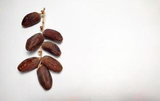 Dried dates on stalk, white background photo