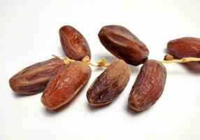 Dried dates on stalk, white background photo