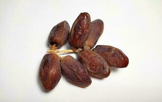 Dried dates on stalk, white background photo