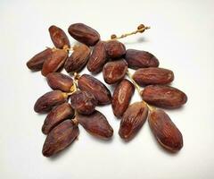 Dried dates on stalk, white background photo