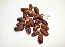 Dried dates on stalk, white background photo