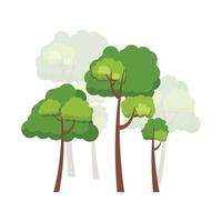 Green trees flat vector illustration. Beautiful green leaves isolated on white