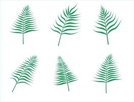 palma hoja tropical hojas conjunto vector