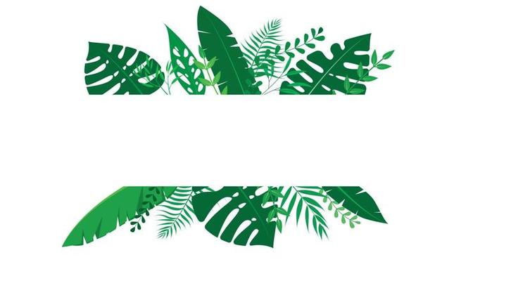 Vector floral frame Forest fern tropical leaf folliage