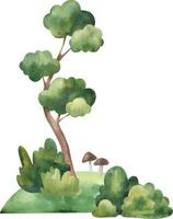 composition with pine tree, forest landscape, stones, bushes and, lawn. Children's illustration on a white background in watercolor.eps vector