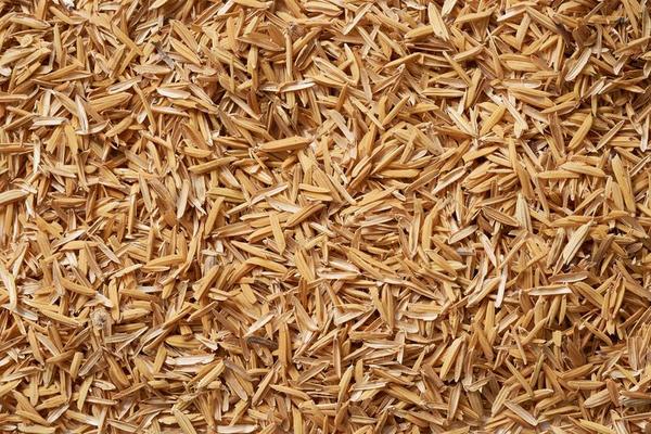 Rice Husk Stock Photos, Images and Backgrounds for Free Download