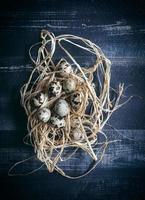 Quail eggs in the nest photo