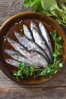 Raw small fishes photo
