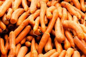 Bunch of carrots photo