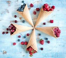 Berry fruits in the cones photo