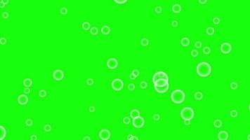 Animated Flying soap bubbles motion graphics with green screen background video
