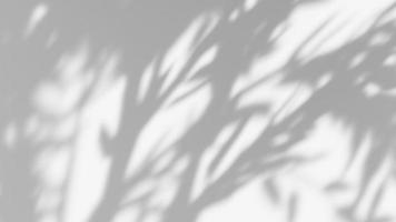 efecto de superposición de sombra de hoja. fondo blanco con sombras de hojas tropicales foto