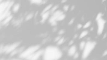 efecto de superposición de sombra de hoja. fondo blanco con sombras de hojas tropicales foto