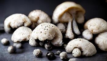 Two-colored mushrooms ripe fresh white and dark mushrooms isolated on grey floor. photo