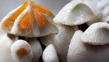 bin of fresh raw white mushrooms. photo