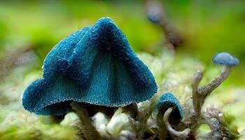 Closeup shot of a bunch of mushrooms with clovers. photo