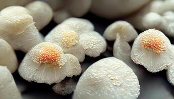 Baskets of White Mushrooms at a Market. photo