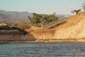 increíble ver de un lago y un árbol foto