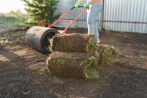 Close up woman laying sod for new garden lawn - turf laying concept photo