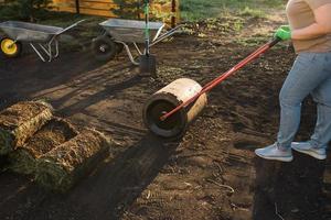 Woman laying sod for new garden lawn - turf laying concept photo