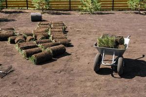 Rolls of lawn grass on sunny day - country house and landscape design photo