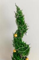 Indoor cypress or thuja in pot is decorating balls like Christmas tree close up. Alternative trees for christmas . photo