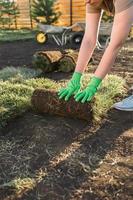 Close up woman laying sod for new garden lawn - turf laying concept photo