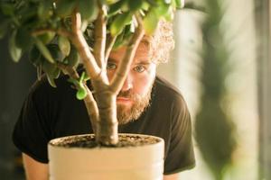 Male eye emerging behind potted plant - spying and shadowing concept photo