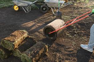 Woman laying sod for new garden lawn - turf laying concept photo