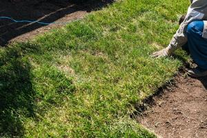 Close-up man laying grass turf rolls for new garden lawn photo