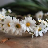 A closeup of a white daisy head band photo