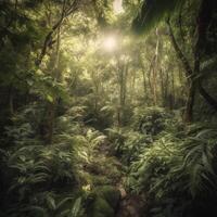 A dense jungle with a green folia photo