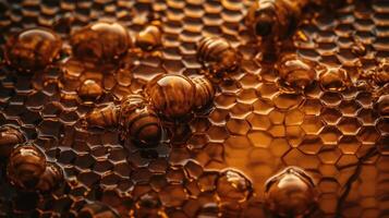 Honey background, Image photo