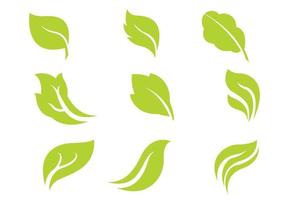 leaf icon Set vector