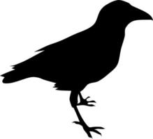 Vector silhouette of bird on white background