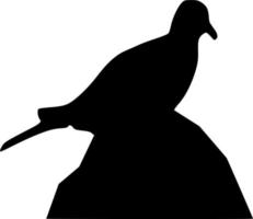 Vector silhouette of Bird on white background