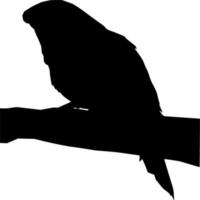 Vector silhouette of Bird on white background