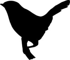 Vector silhouette of bird on white background