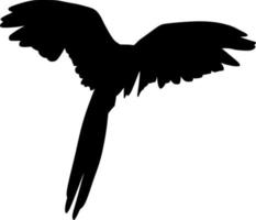 Vector silhouette of bird on white background