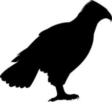 Vector silhouette of Bird on white background