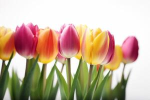 contento madre día. ramo de flores de tulipanes en un blanco antecedentes con espacio para texto generativo ai foto