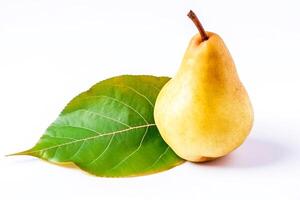 Ripe pear with a leaf, isolate on a white background. Macro studio shot. . photo