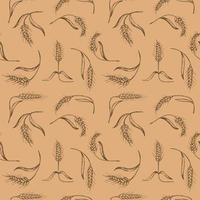 Seamless repeating pattern with ears of wheat, spelt on a beige background. Floral ornament with an ear of wheat. Grain harvest. Hand drawn. Background vector illustration