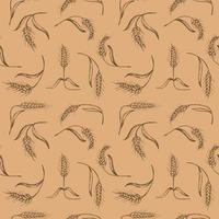 Seamless repeating pattern with ears of wheat, spelt on a beige background. Floral ornament with an ear of wheat. Grain harvest. Hand drawn. Background vector illustration