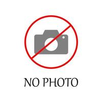 colored no photo sign vector icon illustration