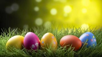 Easter Egg Hunt Background Stock Photos, Images and Backgrounds for Free Download