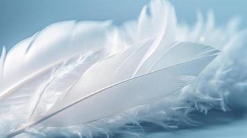 a bright blue background with one white feather, in the style of soft and dreamy pastels, glimmering light effects, nature inspired imagery, fairycore, soft focal points, generate ai photo