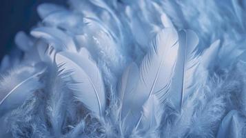 a bright blue background with one white feather, in the style of soft and dreamy pastels, glimmering light effects, nature inspired imagery, fairycore, soft focal points, generate ai photo