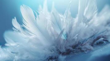 a bright blue background with one white feather, in the style of soft and dreamy pastels, glimmering light effects, nature inspired imagery, fairycore, soft focal points, generate ai photo